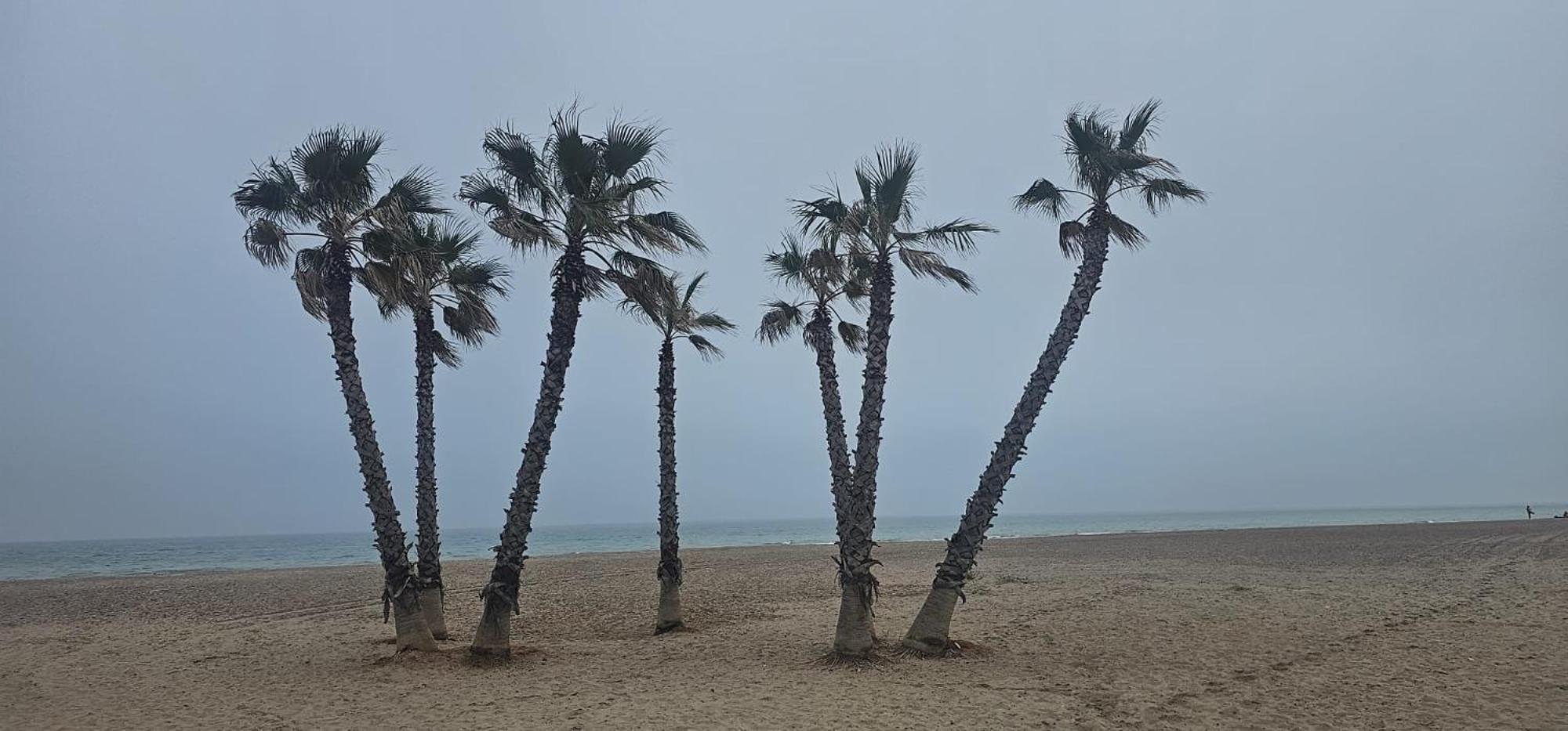 Apartamento Con Piscina Y Cerca De La Playa Canet d'En Berenguer Dış mekan fotoğraf